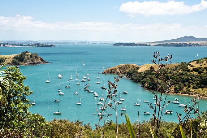 1.5h Waiheke Guided Scenic Tour in our Electric Van - Price and value: is $86.56 worth it?