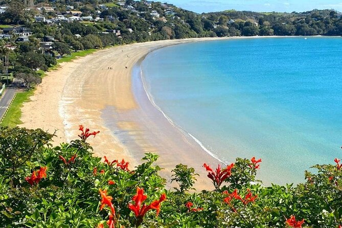 1.5h Waiheke Guided Scenic Tour in our Electric Van - Oneroa Beach and Ocean View Road: a great first hit of coastline