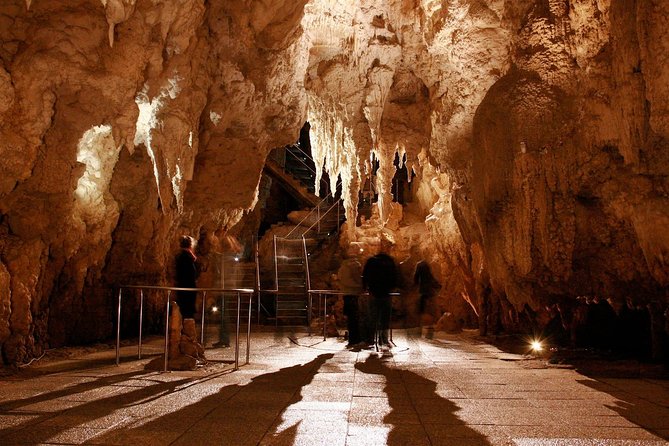 1-Hour Guided Tour of Aranui Cave Waitomo - Price and value: what $50.27 includes (and what it doesn’t)