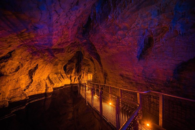 1-Hour Guided Tour of Aranui Cave Waitomo - What the guide adds beyond the cave itself