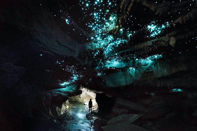 1-Hour Guided Tour of Aranui Cave Waitomo - Who should book Aranui Cave?