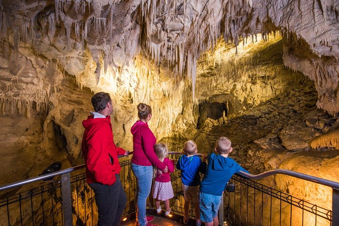 1-Hour Guided Tour of Aranui Cave Waitomo - Stop inside Aranui Cave: formations, cave formation, and Māori stories