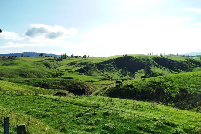 12 Day New Zealand Private Tour from Auckland to Queenstown - TranzAlpine to Tekapo: Arthur’s Pass, Castle Hill, and stargazing
