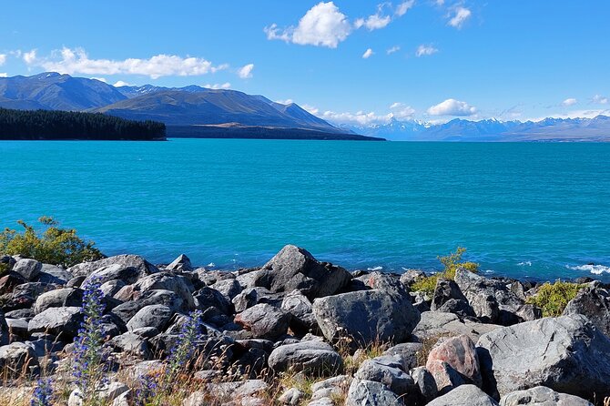 12 Day New Zealand Private Tour from Auckland to Queenstown - Te Anau glowworms, Invercargill stops, and the ferry to Stewart Island