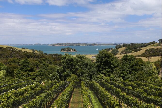 2.5 Hours Wine Tour in Waiheke Island for Cruise Ship Travelers - Value check: what you really get for $130.32