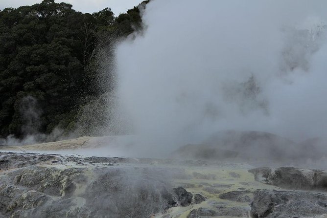 2-Day Hobbiton, Rotorua, Waitomo Caves Tour from Auckland with Accommodation - Mitai Maori Village: hangi dinner plus the evening performance