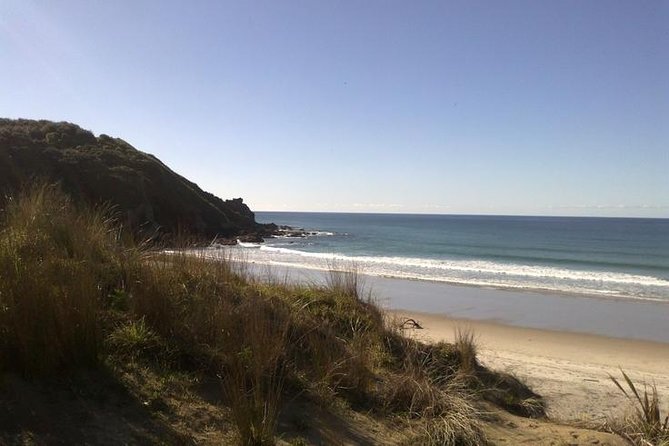 2 Hour Surf Lesson - Te Arai Beach - Te Arai Beach: why this North Auckland shore fits a first lesson