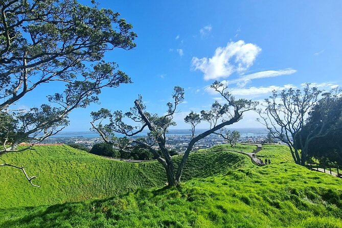 2025 Award Winning: Auckland City Highlights Half Day Tour - Stop 2: North Head Historic Reserve and Maungauika’s defense story
