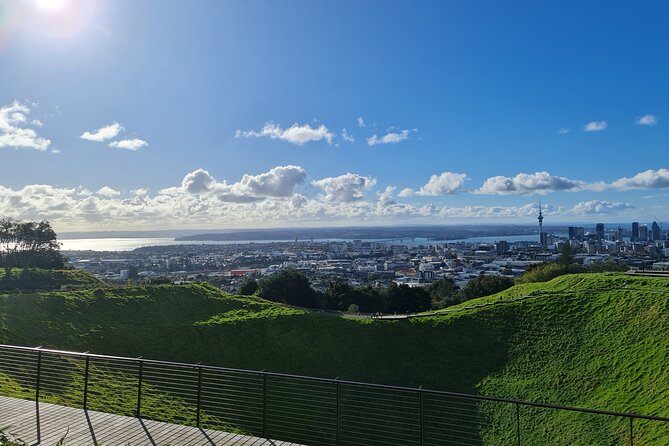 2025 Award Winning: Auckland City Highlights Half Day Tour - Guides are the main ingredient: the local names you’ll hear