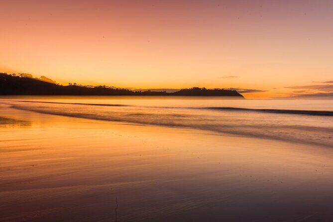 3.5 hour Sunset Tour on Waiheke Island - Meeting point and ride plan: syncing your ferry with the 4:03 pm start