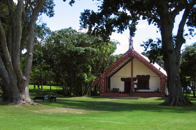 3-Day Bay of Islands Tour from Auckland - Day 2: Puketi Kauri Walk and the giant-tree reset