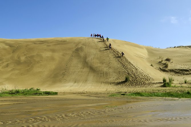 3 Day Bay Of Islands Tour from Auckland including Waitangi and Cape Reinga - Price and value: what $772.61 covers (and what it doesn’t)