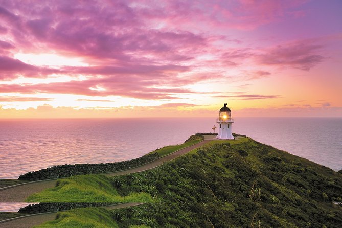 3 Day Bay Of Islands Tour from Auckland including Waitangi and Cape Reinga - Day 2: Cape Reinga and Ninety Mile Beach, with a forest stop that breaks up the drive