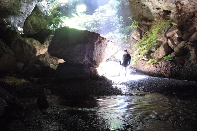 3-Hour Private Photography Tour in Waitomo Caves - Maungarongapu Cave system: what to expect inside the dark