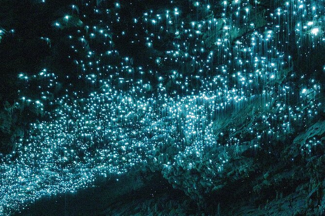 3-Hour Private Photography Tour in Waitomo Caves - Who should book this Waitomo private photography tour