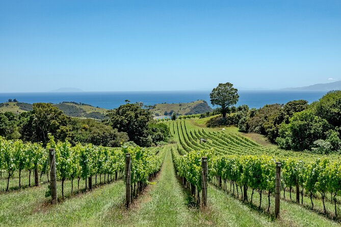 4.5-Hour Scenic Wine Tour with Private Guide & Up to 12 Tastings - Postage Stamp (and the possible swap options) for the final tasting