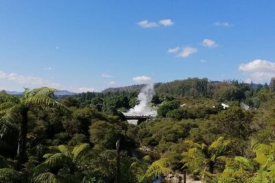 4-Day Auckland to Wellington via Rotorua Tour - Day 2: Whakarewarewa Living Maori Village plus a real free afternoon in Rotorua