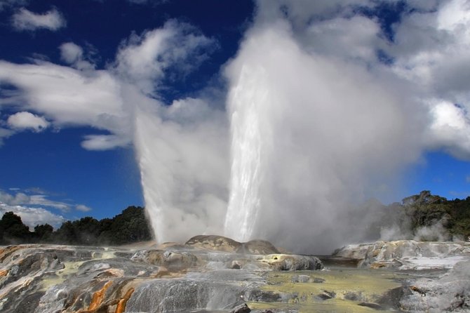 4-Day Auckland to Wellington via Rotorua Tour - Hotels, group size, and what the ride feels like