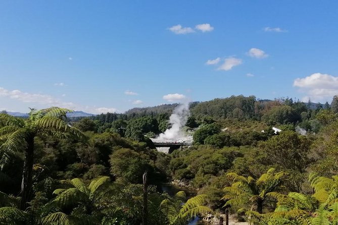 4-Day Auckland to Wellington via Rotorua Tour - Day 2: Whakarewarewa Living Maori Village plus a real free afternoon in Rotorua