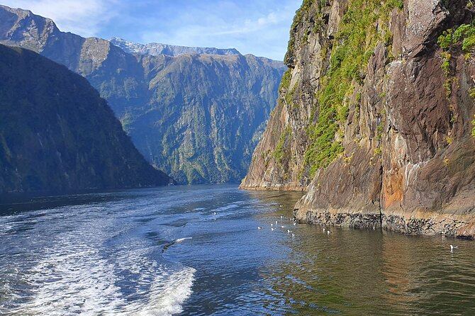4 Day Tour to Milford Sound, Mount Cook & More from Auckland - Te Anau glowworms: what the cave tour is really like