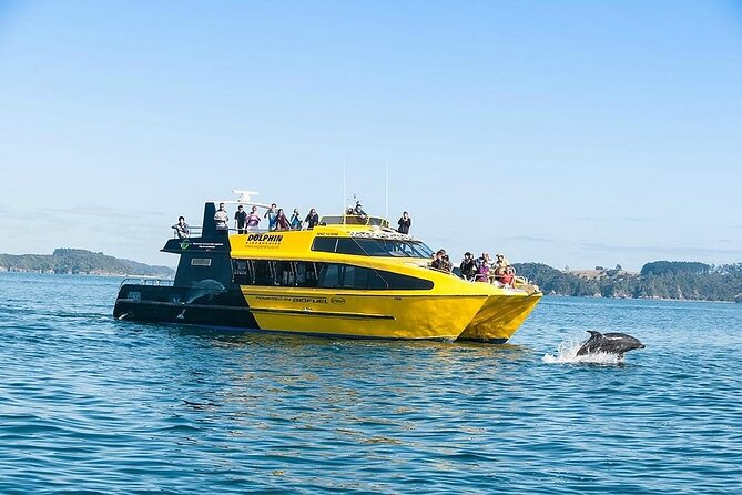 5-Day Bay of Islands, Auckland, Hobbiton, Rotorua & Waitomo Tour - Key points to know before you go