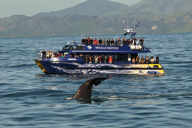 5-Day New Zealand North and South Island Highlights Tour - Price and Value: What $1,364.64 Gets You in Real Terms