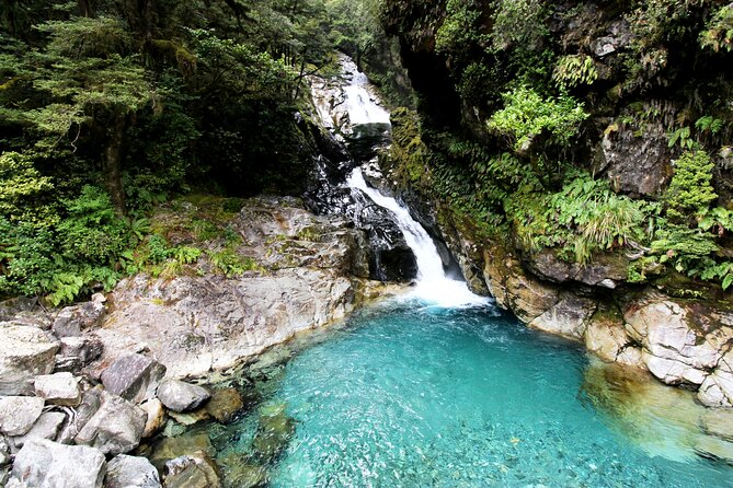 6 Day South Island New Zealand Private Tour from Auckland - Te Anau Glowworm Caves and Your Final Queenstown Choice