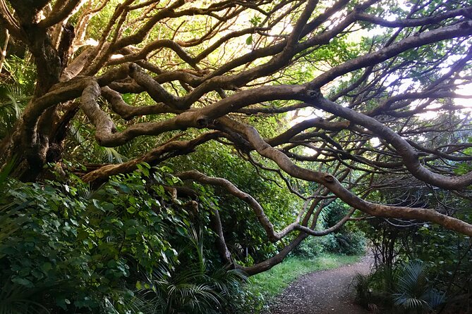 6 Hours Sightseeing Tour in Auckland - Key highlights that matter on the ground