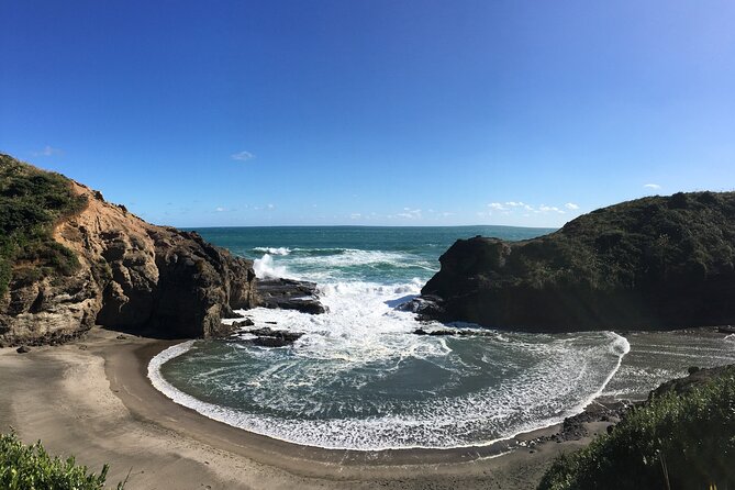 6 Hours Sightseeing Tour in Auckland - A 6-hour west Auckland route with real variety
