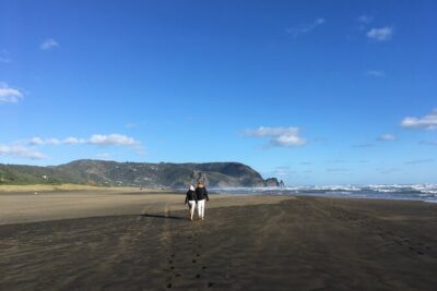 6 Hours Sightseeing Tour in Auckland - Mt Eden (Maungawhau): crater views and volcano stories in 45 minutes