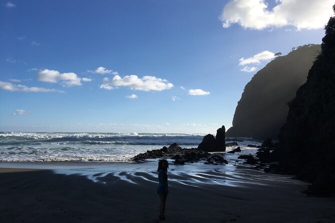 6 Hours Sightseeing Tour in Auckland - Karekare Falls: a short hike to gushing water