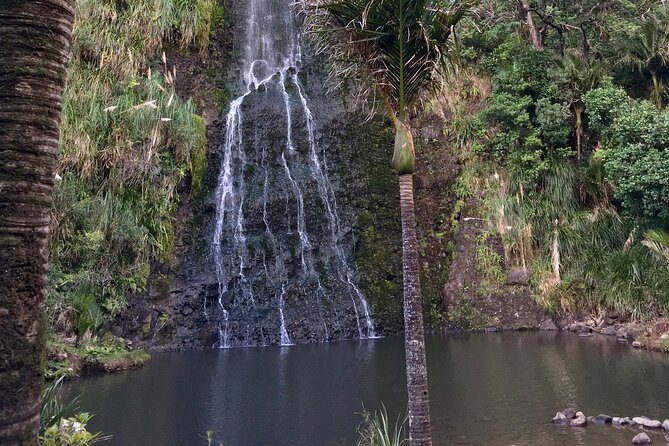 6 Hours Sightseeing Tour in Auckland - Soljans Estate Winery: tasting is included, lunch is your choice