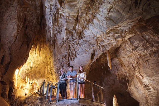 90-Minute Guided Ruakuri Cave Tour Waitomo - Check-in timing and the spiral entrance reality