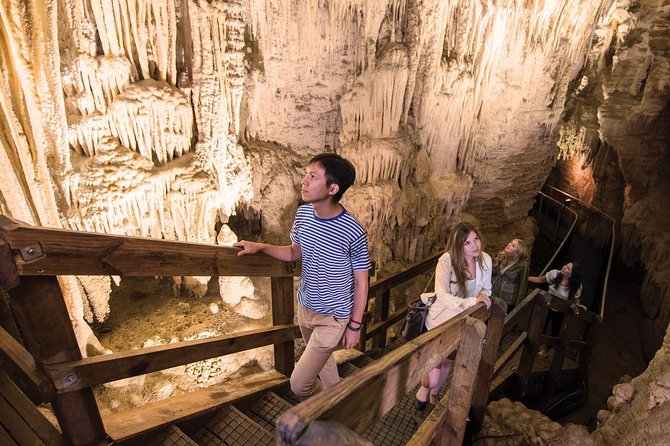 90-Minute Guided Ruakuri Cave Tour Waitomo - How the guided route unfolds inside Ruakuri Cave