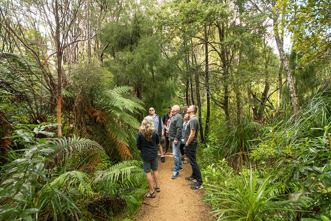 Afternoon Piha Beach and Rainforest Tour from Auckland - Piha Beach time: black sand, dramatic coast, and a real break