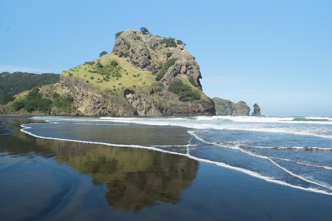 Afternoon Piha Beach and Rainforest Tour from Auckland - Price and value: what $124.11 buys you for 5 hours