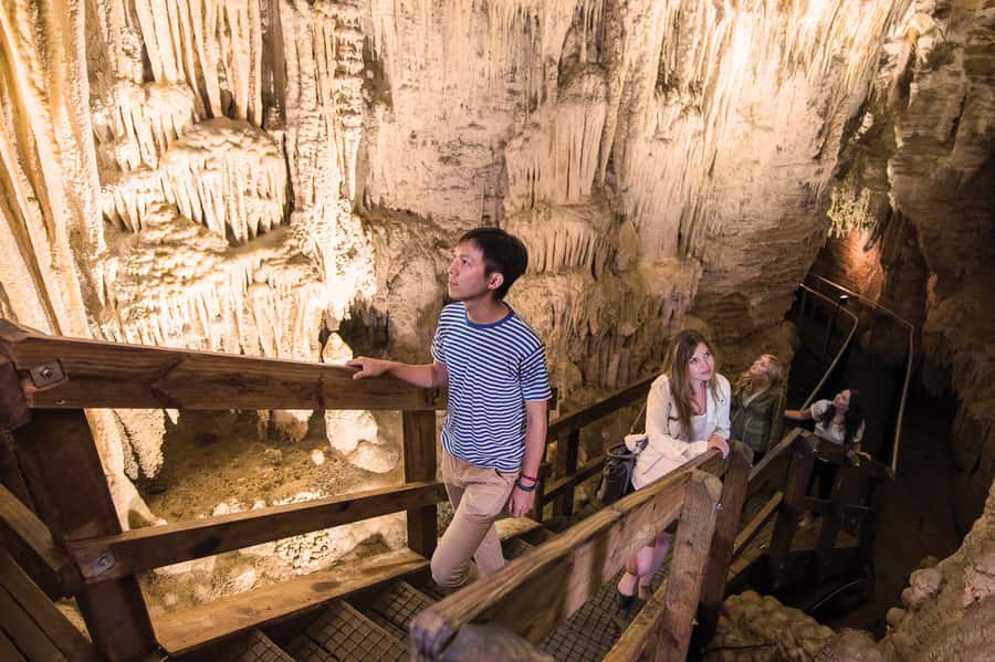 Aranui Cave 1-Hour Guided Tour - Why Aranui Cave feels different from the Waitomo glowworm scene