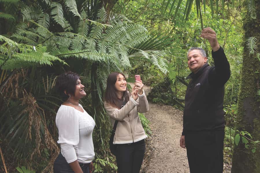 Aranui Cave 1-Hour Guided Tour - The cave weta moment: wildlife you’ll see right at the entrance