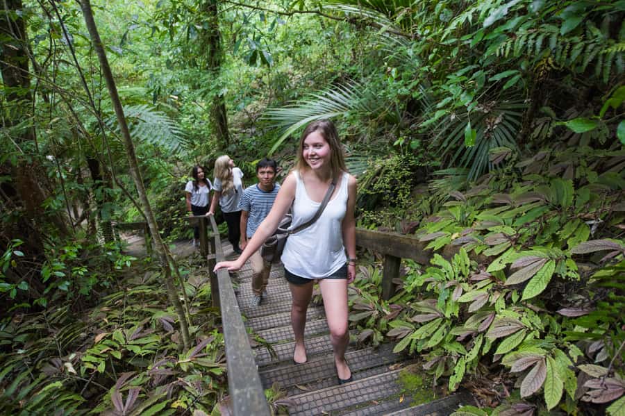 Aranui Cave 1-Hour Guided Tour - Price and value: is $47 for one hour a fair deal?