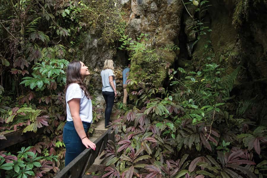 Aranui Cave 1-Hour Guided Tour - Who should book this and who should skip it