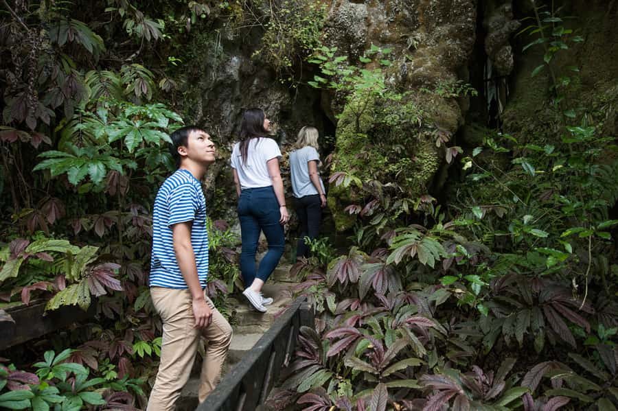 Aranui Cave 1-Hour Guided Tour - Book it or pass: my decision guide