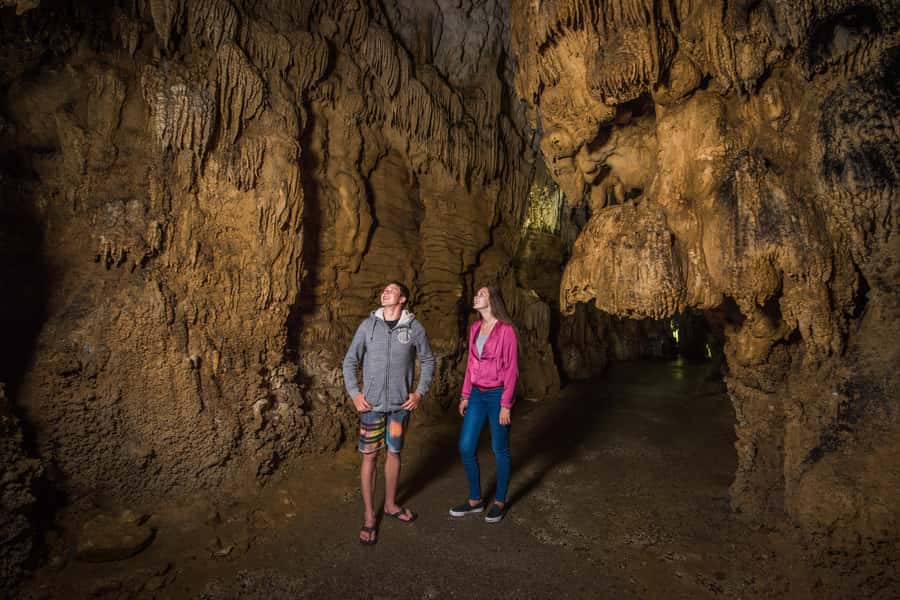 Aranui Cave 1-Hour Guided Tour - Getting to the cave: meeting point, group size, and timing
