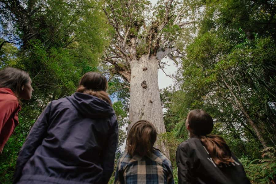 Auckland: 2-Day Bay of Islands Small Group Tour with Cruise - Key things that make this tour work