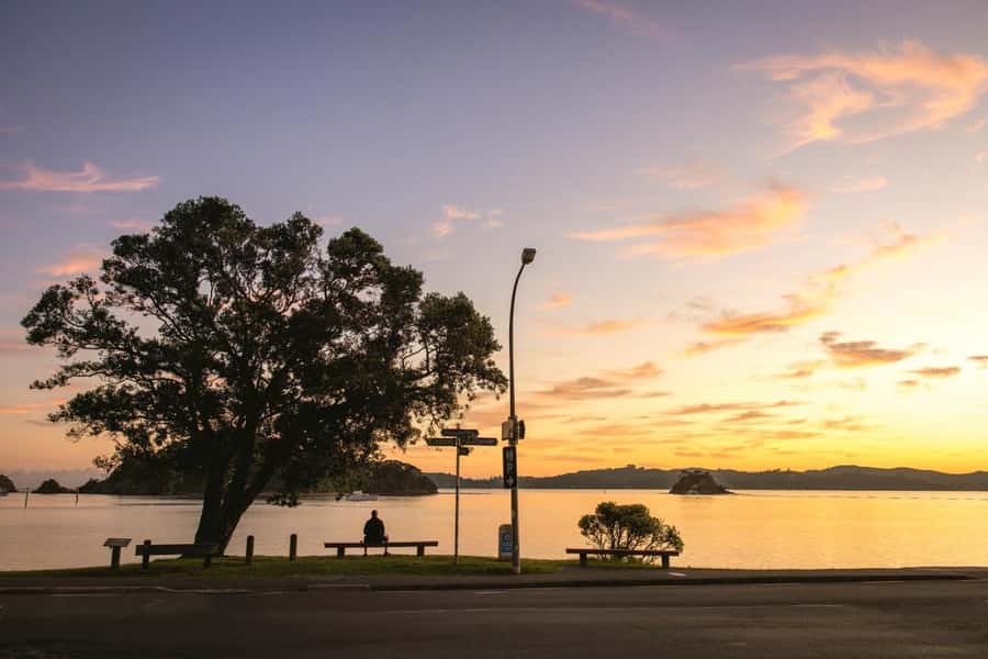 Auckland: 2-Day Bay of Islands Small Group Tour with Cruise - Kauri Museum and Waipoua Forest: why Tāne Mahuta hits harder than you expect