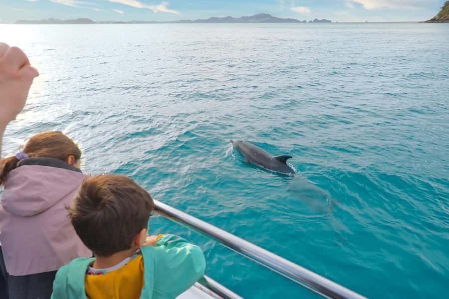 Auckland: 2-Day Bay of Islands Small Group Tour with Cruise - Paihia hotel night: included convenience and solo traveler reality