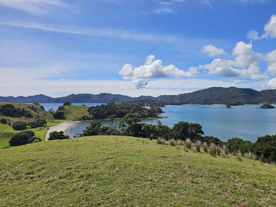 Auckland: 2-Day Bay of Islands Small Group Tour with Cruise - Day Two: the Bay of Islands cruise and Hole in the Rock