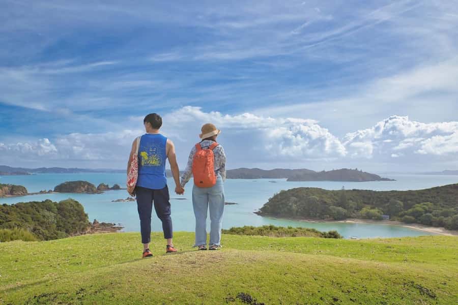 Auckland: 2-Day Bay of Islands Small Group Tour with Cruise - Day One: Auckland to Paihia, with Tāne Mahuta and Waitangi as anchors