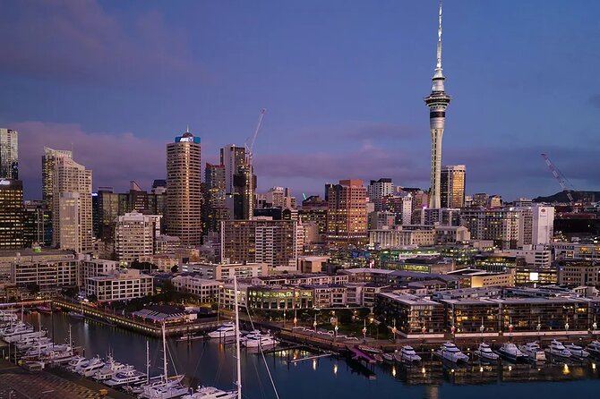 Auckland Airport Private One-Way or Round-Trip Transfer - Real Driver Examples You Might Hear About (Why That Matters)