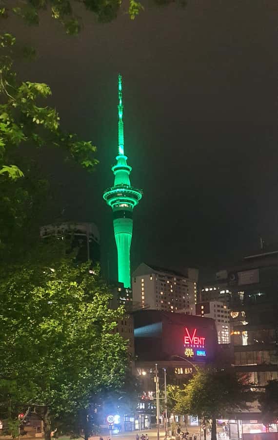 Auckland: Auckland City Tour 4 hours private - Mount Eden Viewpoints: The Volcanic Cone Stop You Can Feel