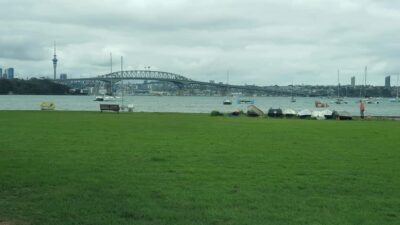 Auckland: Auckland City Tour 4 hours private - Pickup in Auckland CBD: The Convenience That Sets the Tone